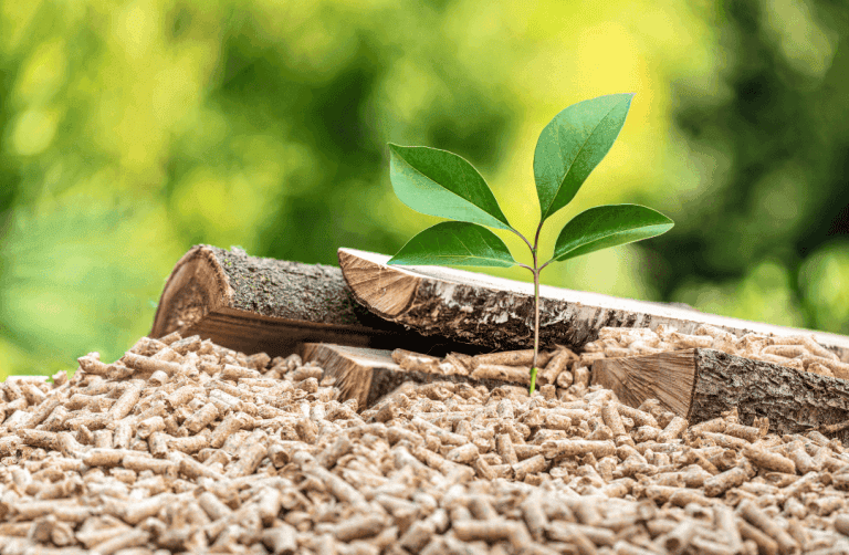 tas de pellet avec buche fendu sur le dessus et un arbre qui commence a pousser pour montrer le coté écologique du pellet