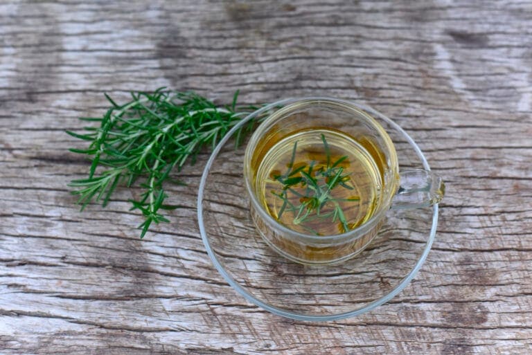 Tasse de tisane chaude aux herbes de Provence avec brin de farigoule, boisson traditionnelle de la garrigue
