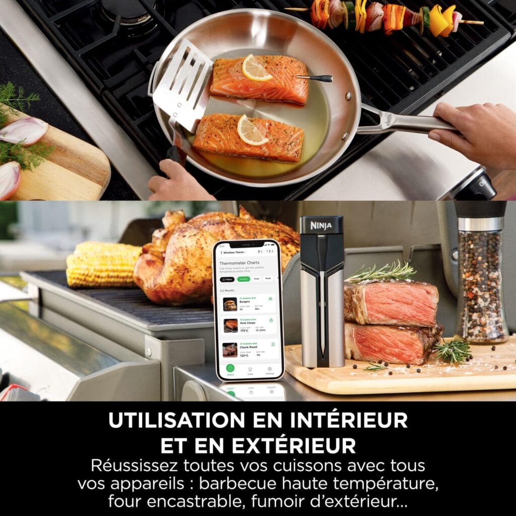Sonde Ninja ProChef WP100EU sur saumon à la poêle et sur barbecue (visuel “utilisation en intérieur et en extérieur”).